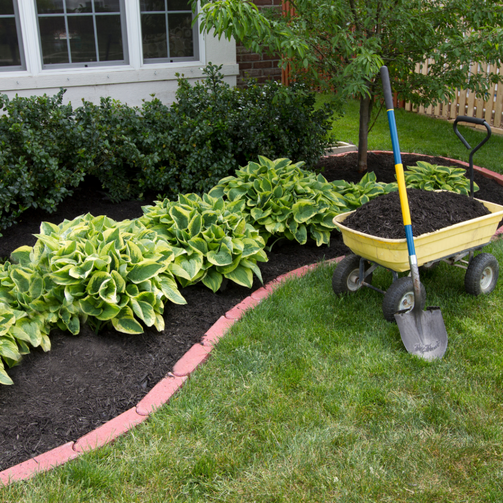 Mulching